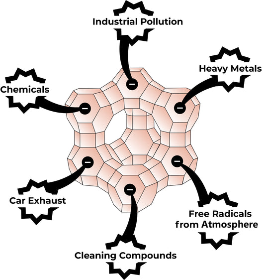 Zetox Body Care
